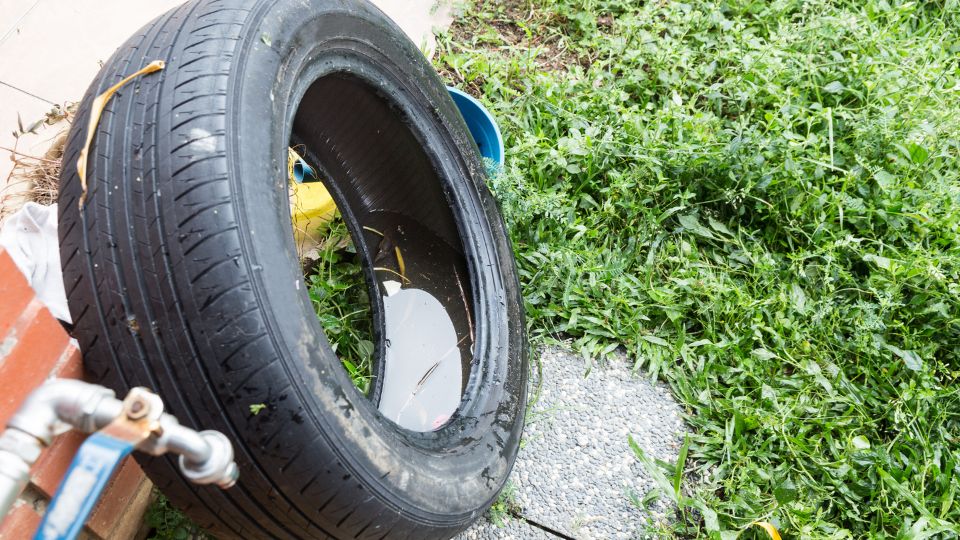 שונאים יתושים? כך תשמרו עליהם מחות לביתכם הקיץ הזה